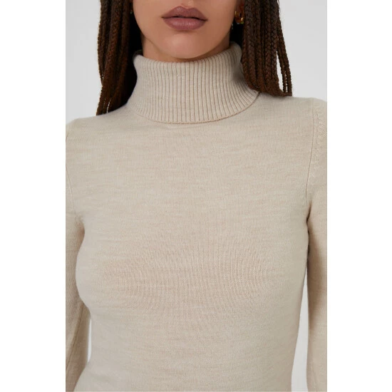 unnamed-file-137.jpg French Connection Brown Babysoft Roll Neck Dress -French Connection store unnamed file 137